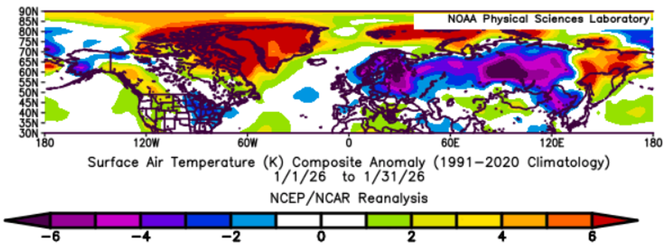A map of the northern hemisphere between 30 and 90 degrees latitude, showing NCEP/NCAR reanalysis mean surface air temperature anomalies for January 2026.