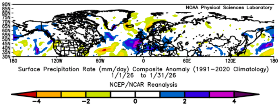 A map of the northern hemisphere between 30 and 90 degrees latitude, showing NCEP/NCAR reanalysis mean surface precipitation rate anomalies for January 2026.